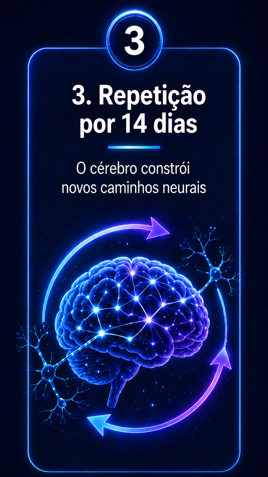 Repetição por 14 dias - o cérebro constrói novos caminhos neurais